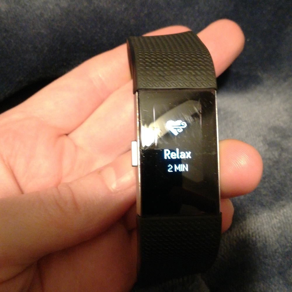 Fitbit Charge 2 - image 3